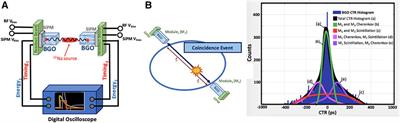 Cherenkov Radiation–Based Coincidence Time Resolution Measurements in BGO Scintillators